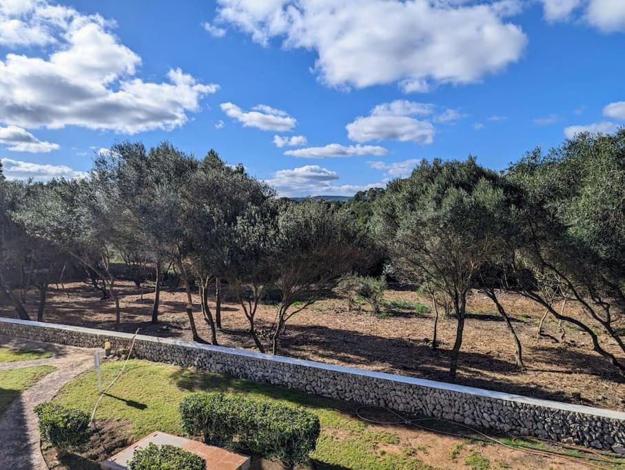 Bella Brisa, Port D'Addaia Daire Dış mekan fotoğraf